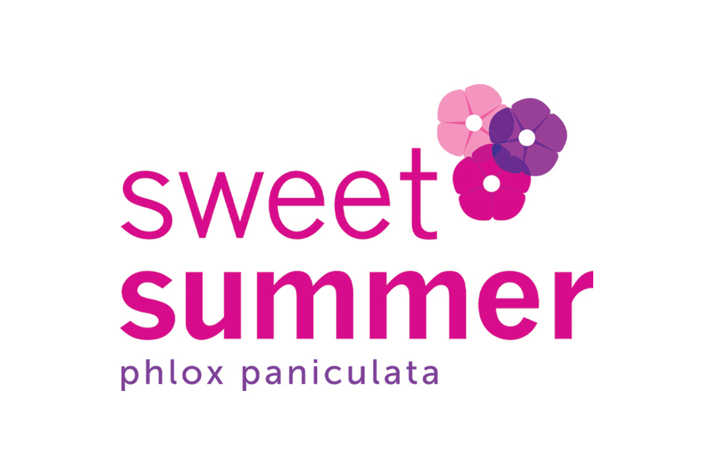 logo ontwerp sweet summer